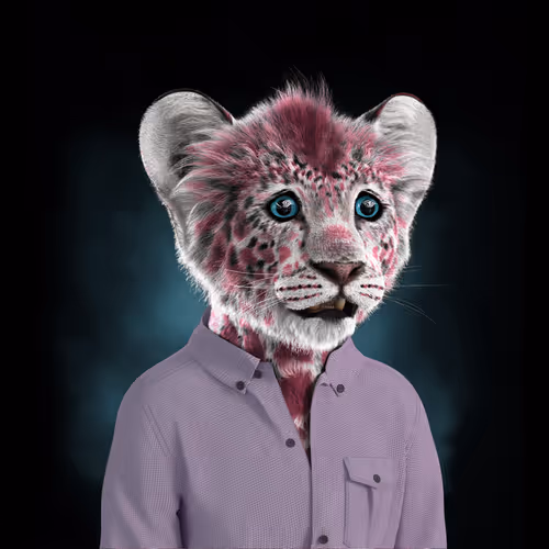 Royal Cub #2501