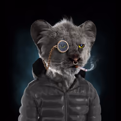 Royal Cub #8437