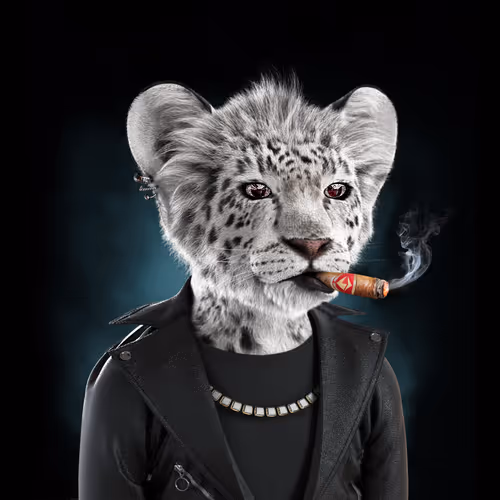 Royal Cub #1892