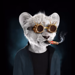 Royal Cub #841