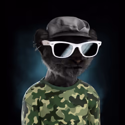 Royal Cub #854