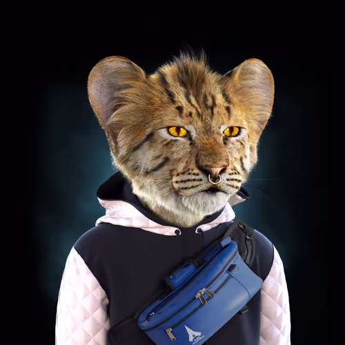 Royal Cub #2451