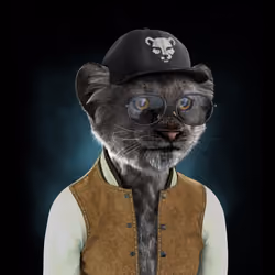 Royal Cub #310