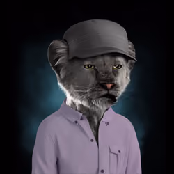Royal Cub #8217