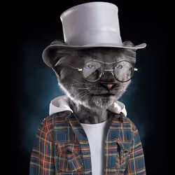 Royal Cub #1068