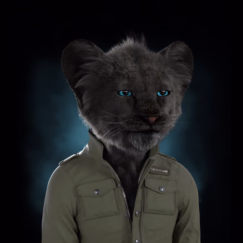 Royal Cub #594