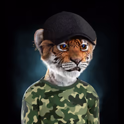 Royal Cub #5585