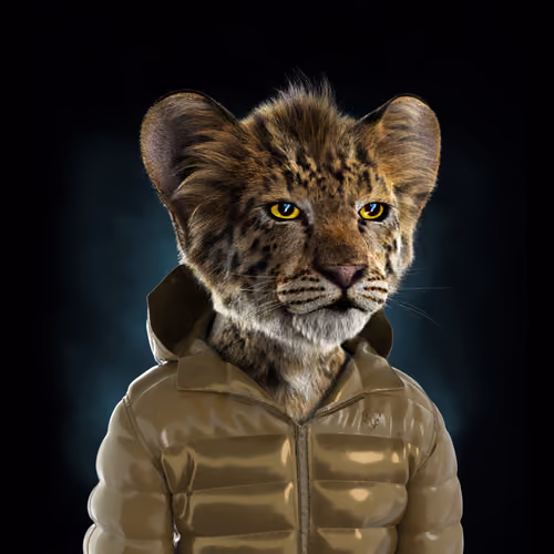 Royal Cub #855