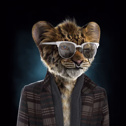 Royal Cub #1104