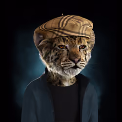 Royal Cub #8426