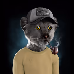 Royal Cub #1900