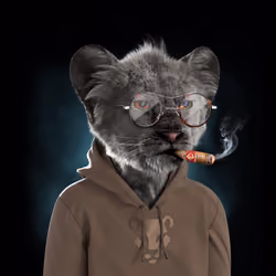 Royal Cub #2389