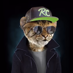 Royal Cub #1287