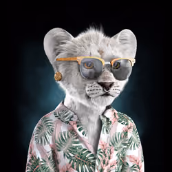Royal Cub #6564