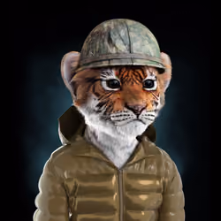 Royal Cub #3137
