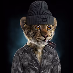Royal Cub #677