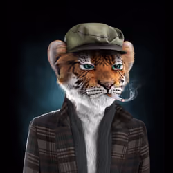 Royal Cub #1899