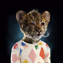 Royal Cub #5925