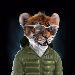 Royal Cub #3526