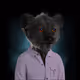 2696