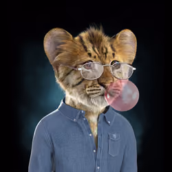 Royal Cub #7109
