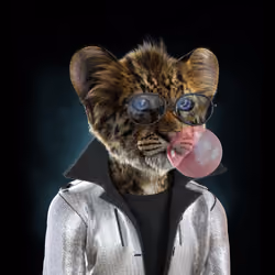 Royal Cub #172