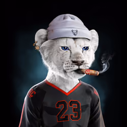 Royal Cub #2542