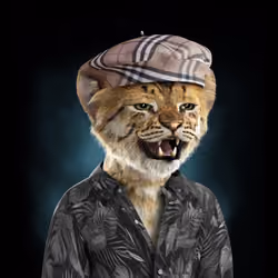 Royal Cub #2604