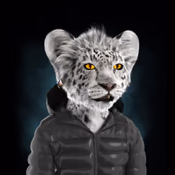Royal Cub #7648
