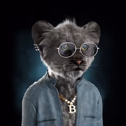 Royal Cub #6576