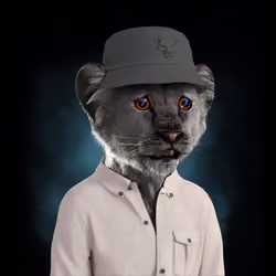 Royal Cub #1669