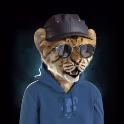 Royal Cub #8726