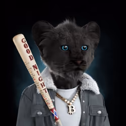 Royal Cub #2006