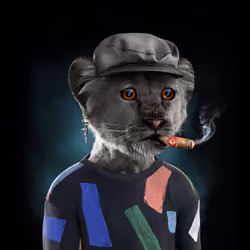 Royal Cub #279