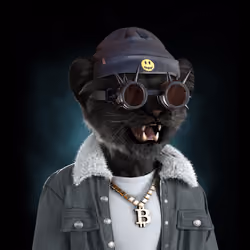 Royal Cub #8554