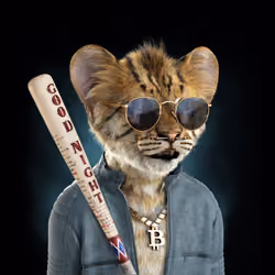 Royal Cub #3704
