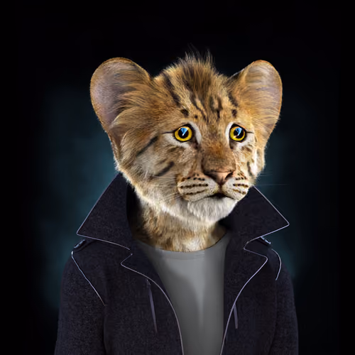 Royal Cub #6508
