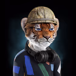 Royal Cub #545