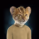 Royal Cub #2332