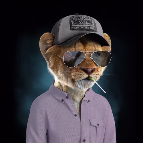 Royal Cub #8859