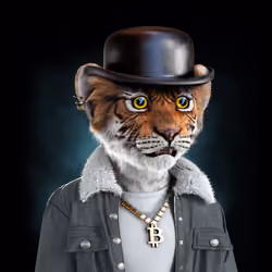 Royal Cub #888