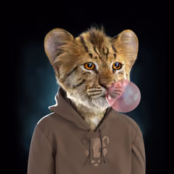 Royal Cub #5269