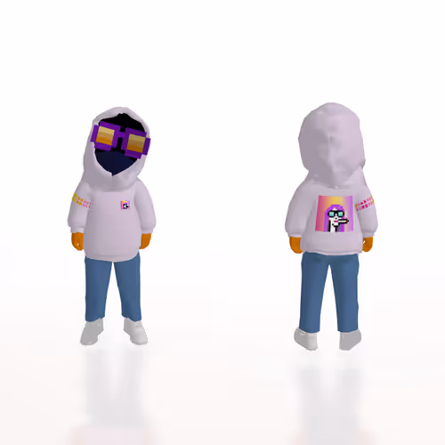 Paladin Punks Vision