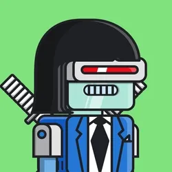 Roboto Helmeto #6844