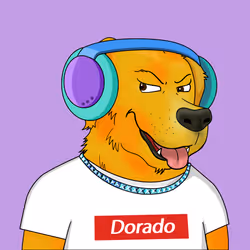Meta Dorados #55