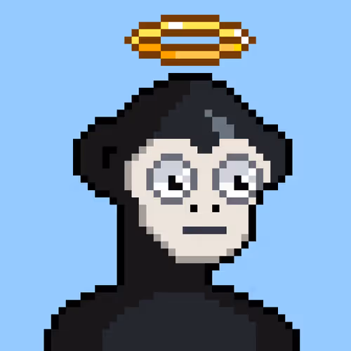 Moonkeysofficial