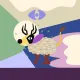 804