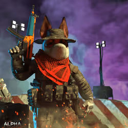 34