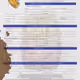 5333