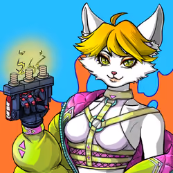 Sipher NEKO #7088